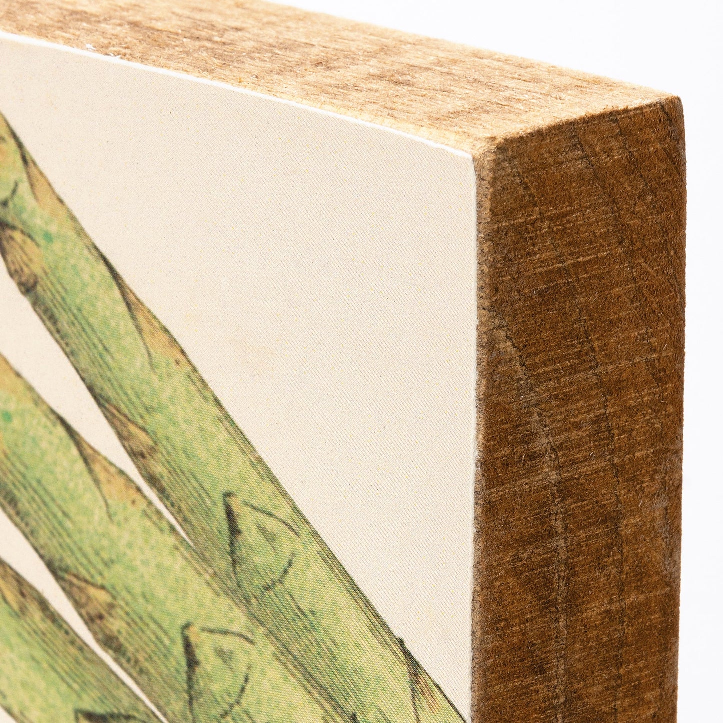 Kick Some Asparagass Block Sign| Wooden Square Desk Wall Decor Display