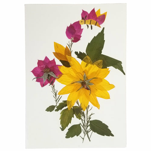 Balashram Designed Floral Gift Cards