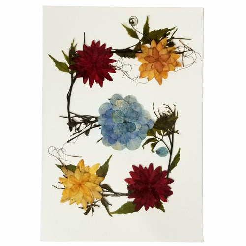 Balashram Designed Floral Gift Cards